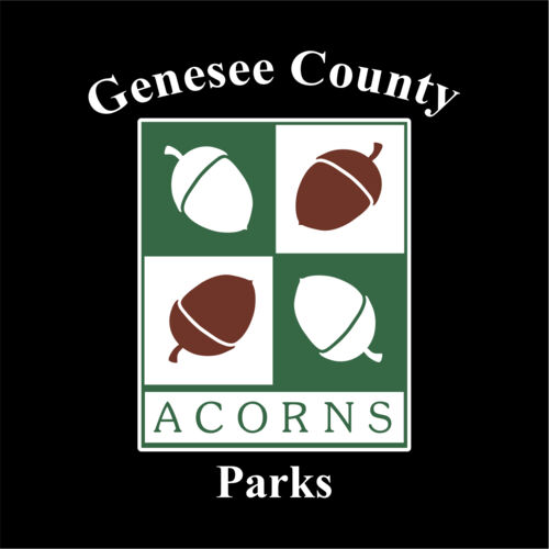 ACORNS Thumbnail